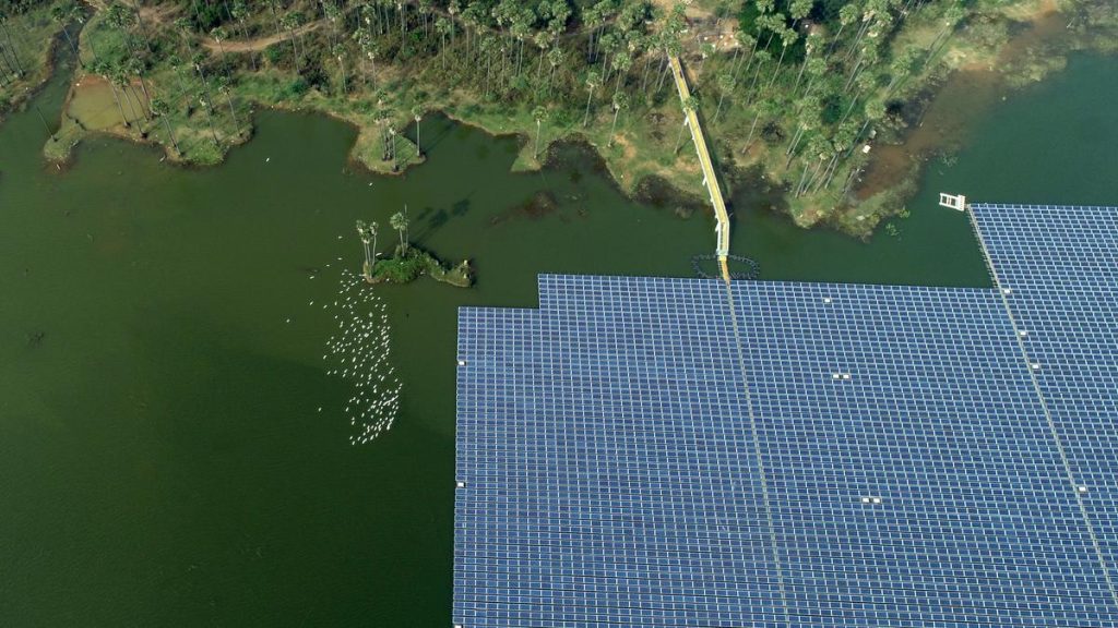 Floating Solar Projects Spark Concerns Over Aquatic Ecosystems
