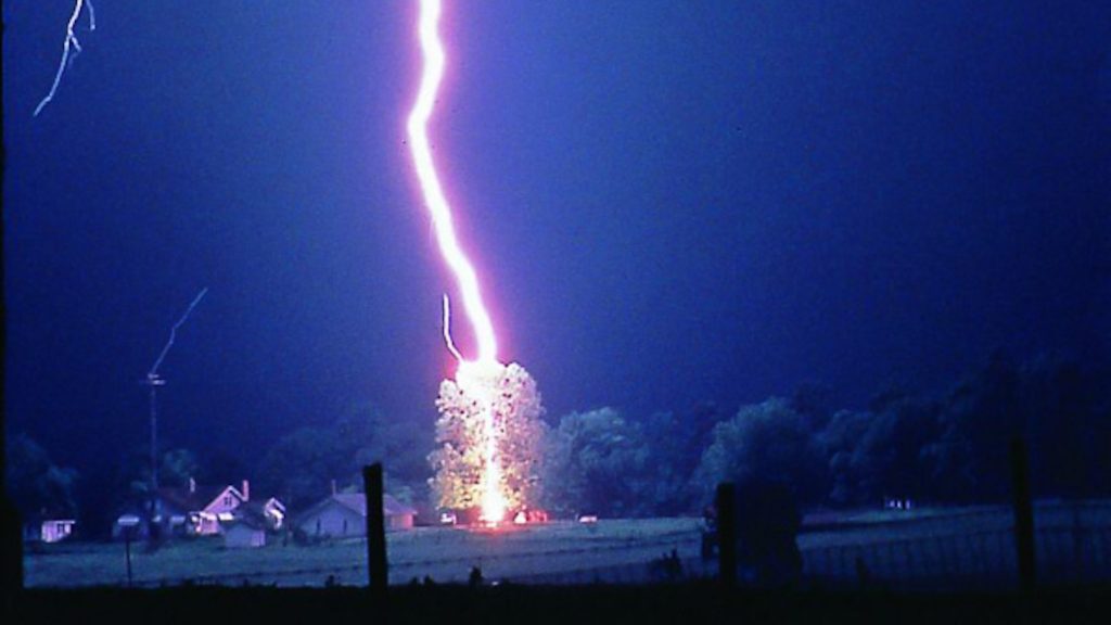 Lightning kills 320 million trees each year