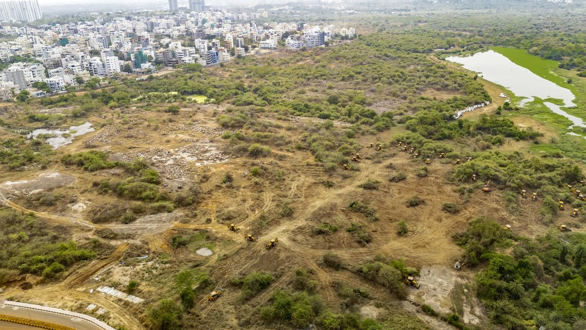 achieve-sustainable-development-but-not-by-bulldozing-forests:-supreme-court-tells-telangana
