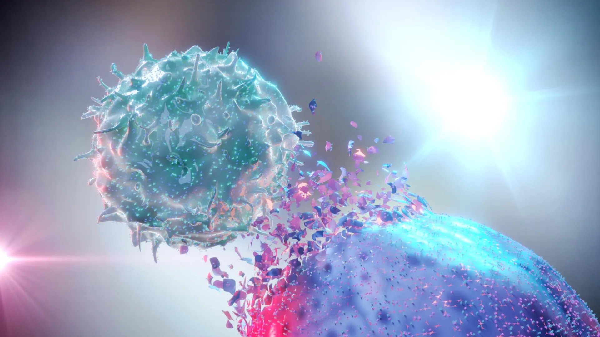 Breakthrough: How radiation helps the immune system kill cancer