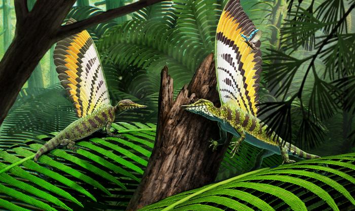 This Reptile Sported Strange, Feather-Shaped Structures Around 247 Million Years Ago