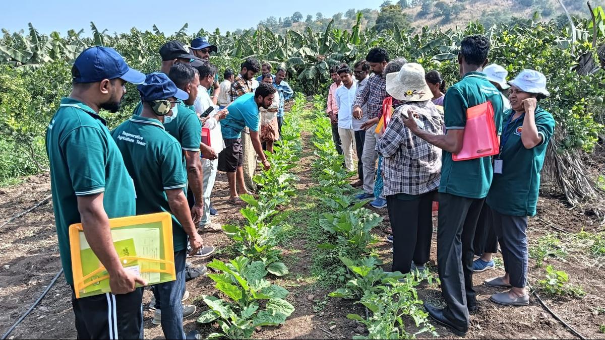 kerala-delegation-to-undergo-intensive-training-in-natural-farming-in-andhra-pradesh
