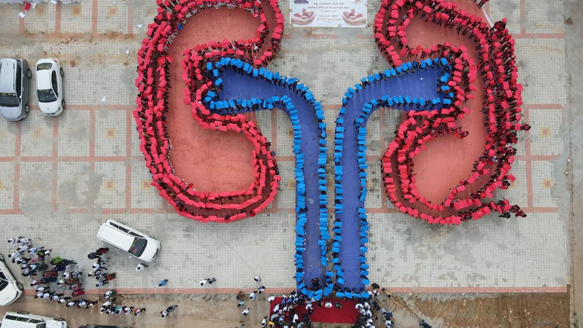 in-tamil-nadu,-kidney-for-sale