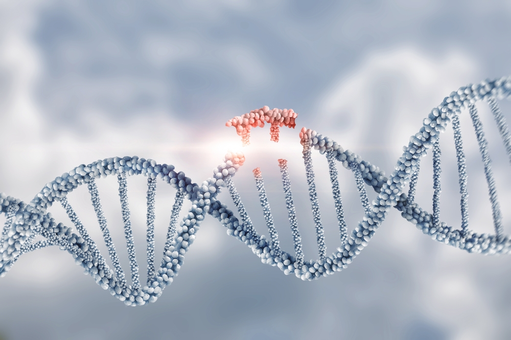 Once Believed to Be Junk, Viral Ancient DNA Has Been Ghost Writing Our Genetic Code