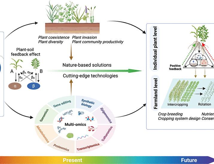Steering plant-soil feedback for sustainable agriculture | Science