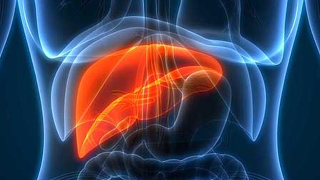 Doctors Urge Early Screening to Tackle Undetected Liver Diseases
