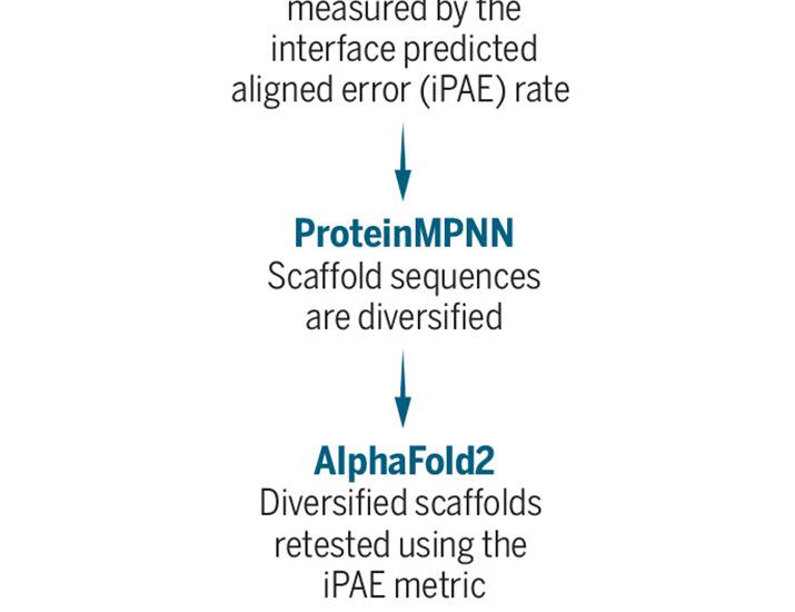 Beyond the native repertoire | Science