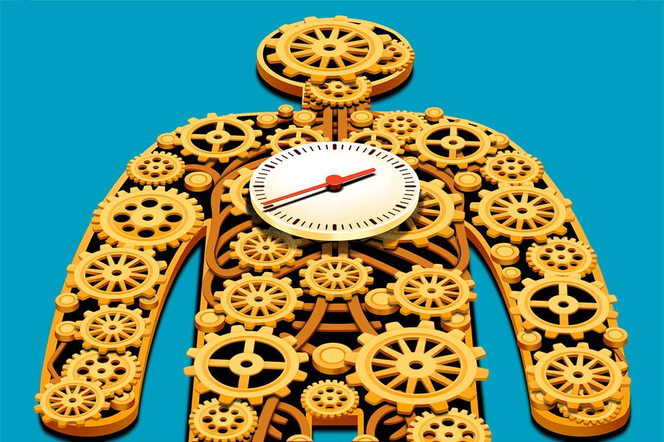 How revolutionary new tests can unlock the power of your body clock