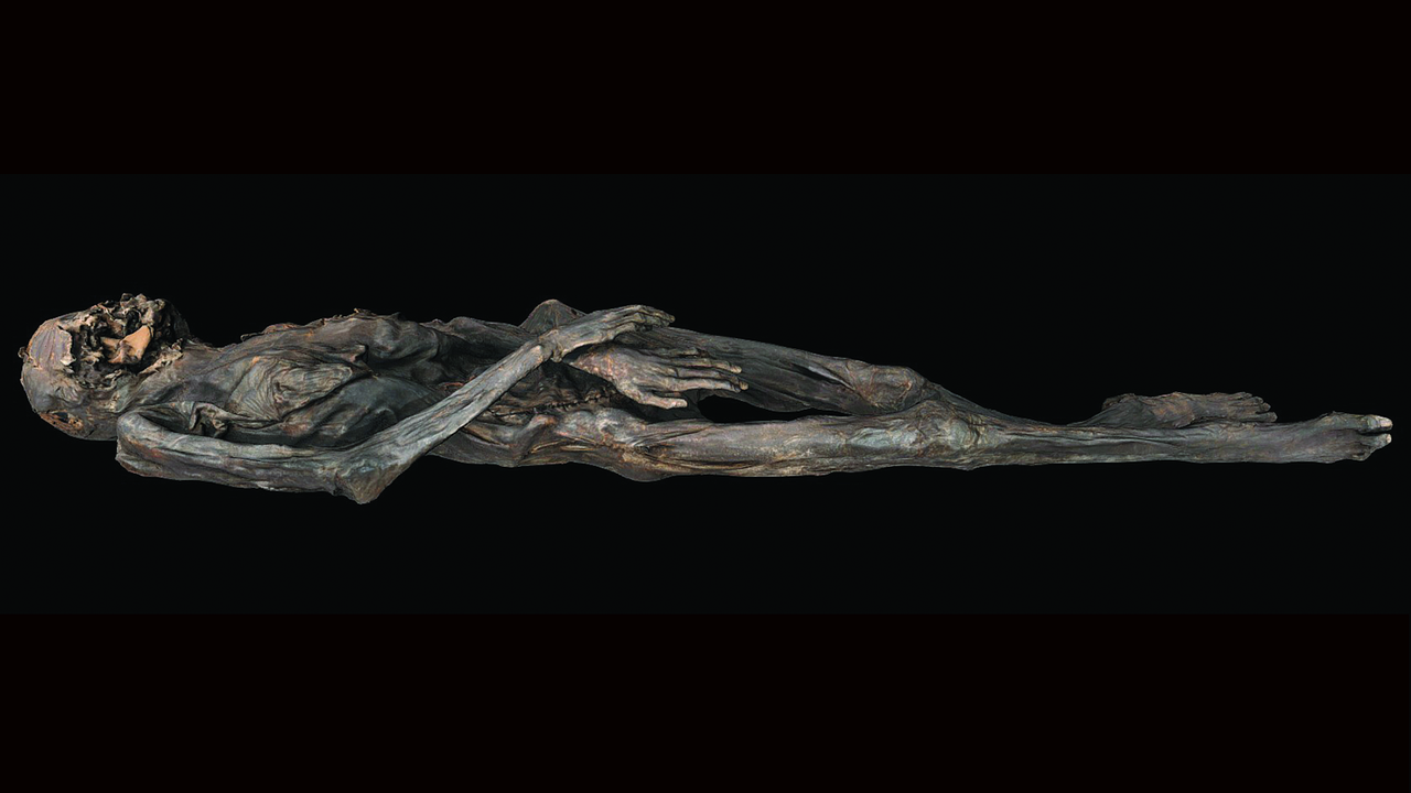 2,300-year-old arm tats on mummified woman reveal new insights about tattooing technique in ancient Siberia