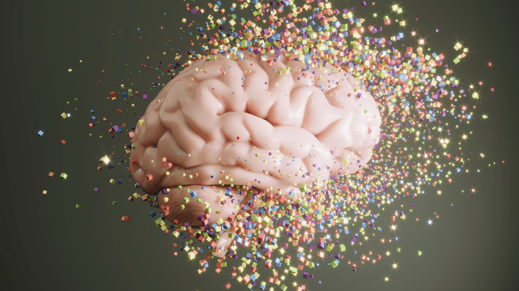 How your brain can tell squishy ‘stuff’ from hard ‘things’