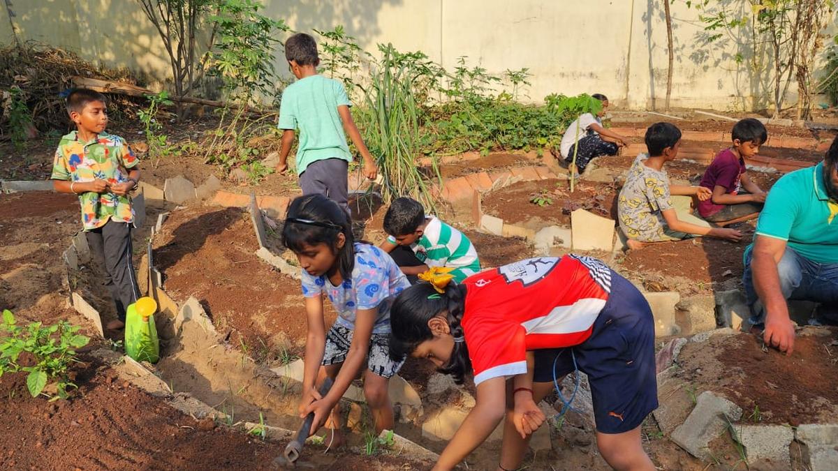 aadi-pattam:-when-city-folks-learn-farming-on-weekends