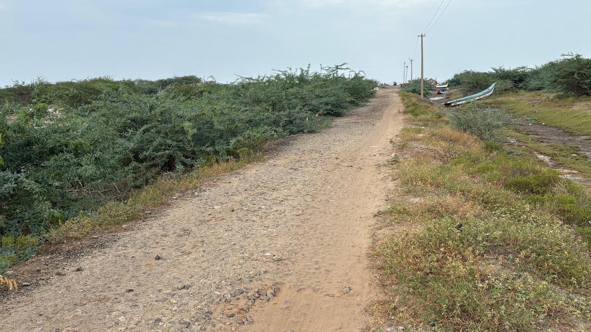 fisherfolk-in-mandapathukkuppam-have-only-one-sandy-path-to-the-beach