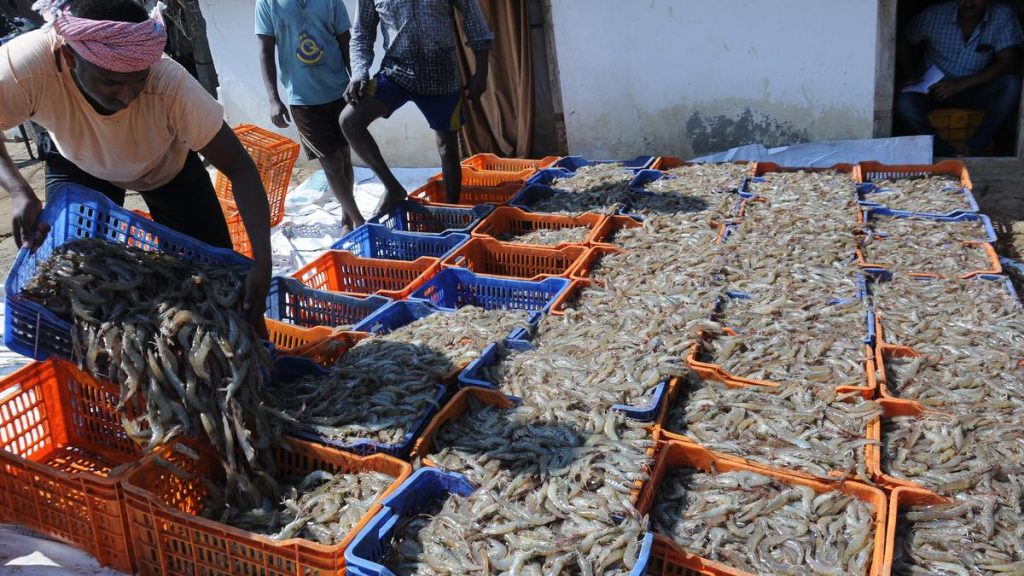 Trump's Tariff Hike Set to Impact Seafood Exports from Andhra Pradesh
