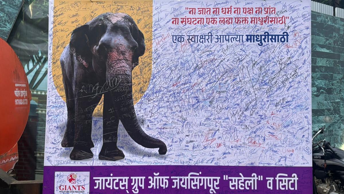 elephant-madhuri-relocation:-fadnavis-meets-vantara-team,-says-it-will-join-govt’s-plea-in-sc-to-bring-back-elephant
