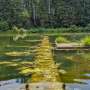 Warming the atmosphere: Clear waters found to emit more methane than turbid waters