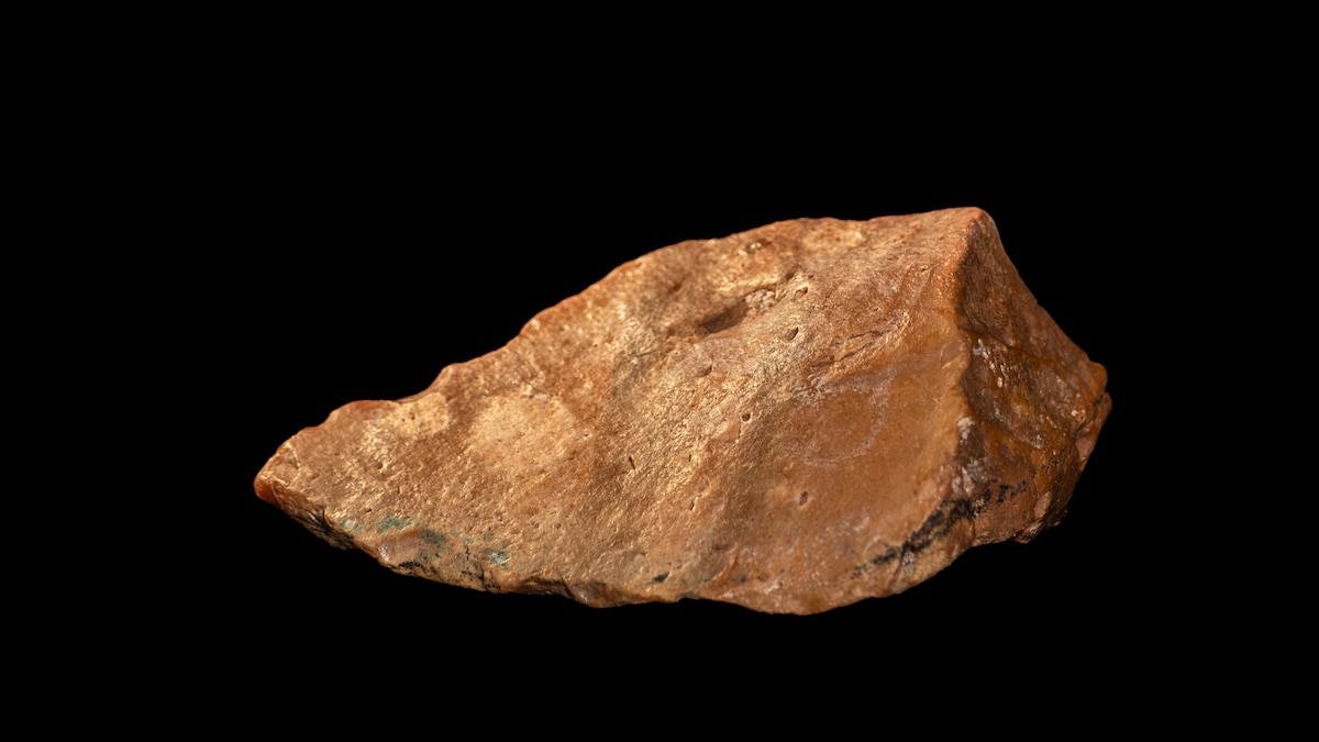 Did ancient ‘hobbit humans’ create these million-year-old tools?