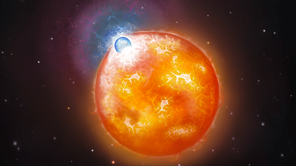 Cosmic bumper stars forge rare, hefty white dwarf