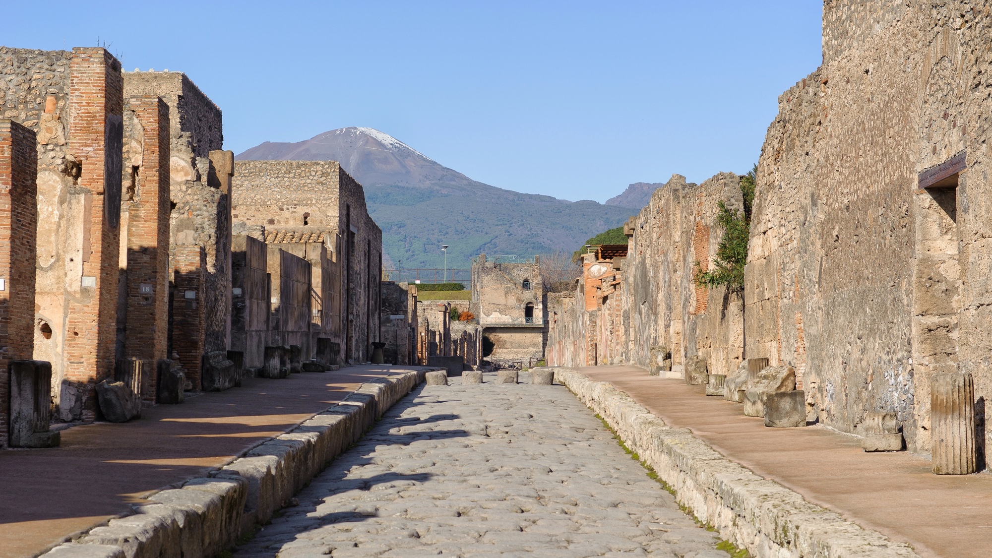 After Mount Vesuvius, Pompeii’s ruins housed survivors, wanderers, and treasure hunters
