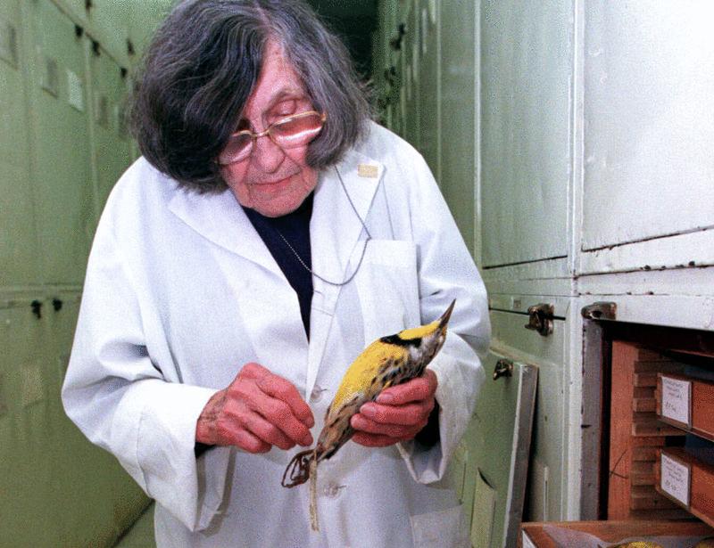 Roxie Laybourne, the first forensic ornithologist | Science