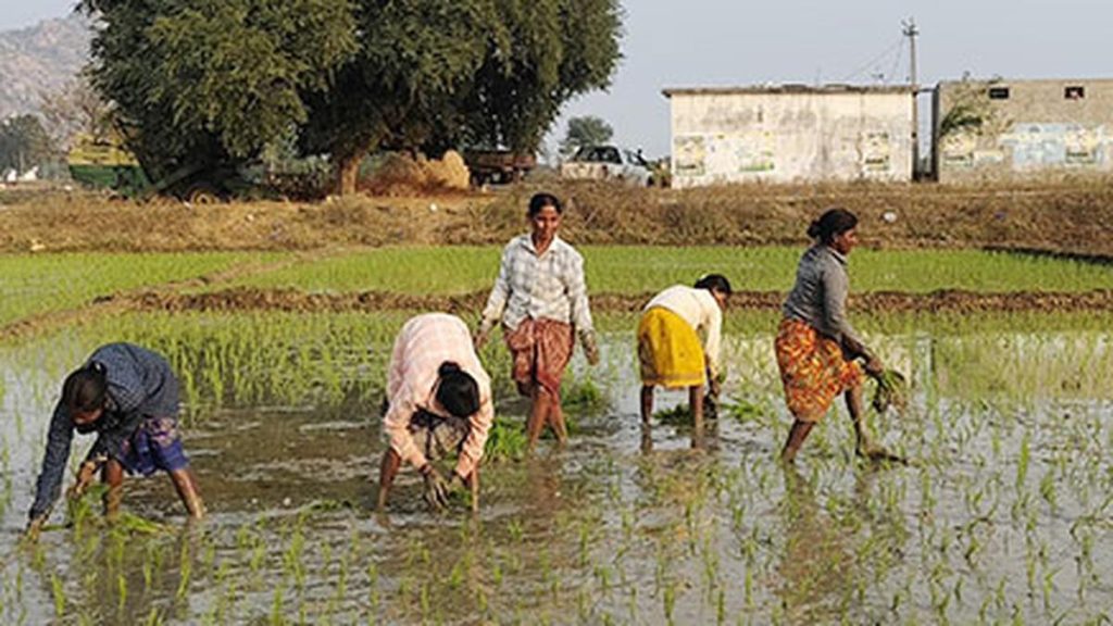 Farmer Groups Laud PM's Commitment to Safeguarding Their Interests