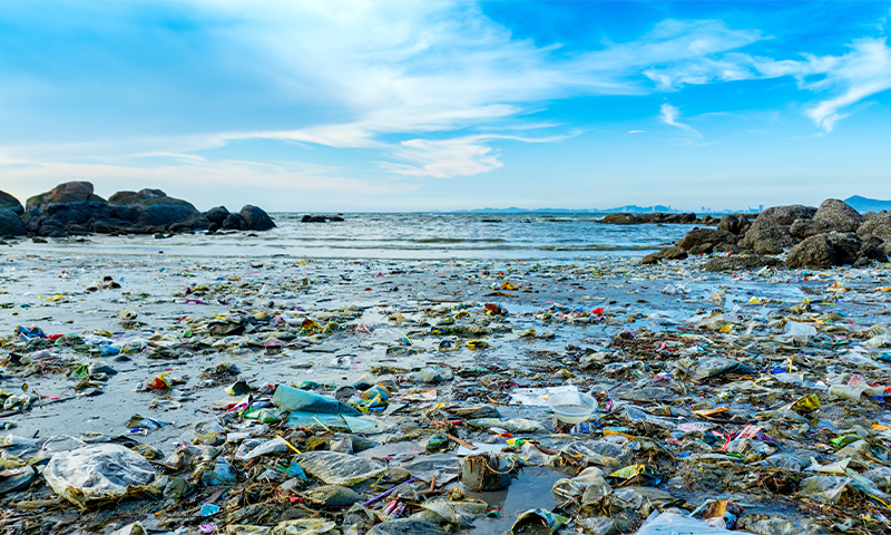 Can Humanity Stem the Plastic Tide?