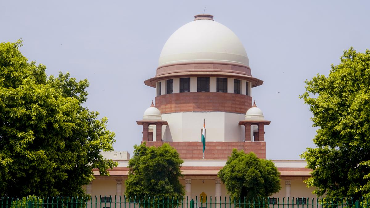 ‘completely-vague’:-supreme-court-on-plea-to-‘return’-captive-elephants-kept-in-vantara