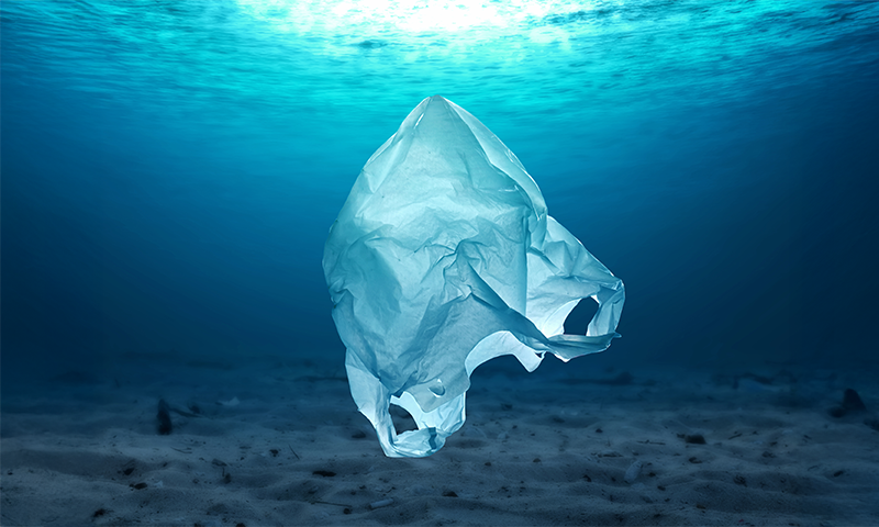 Is Solving the Plastic Problem a Moral Issue?