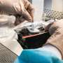 Astronauts launch space agriculture with seed pillows