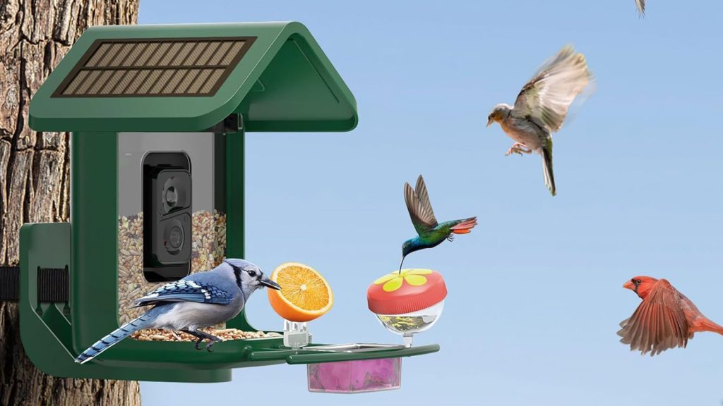 Make birdwatching easy and save $50 with this Onlyfly smart bird feeder camera from Amazon