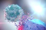 Acting as a Trojan Horse, Viruses Can Use Bacteria to Kill Tumors From the Inside