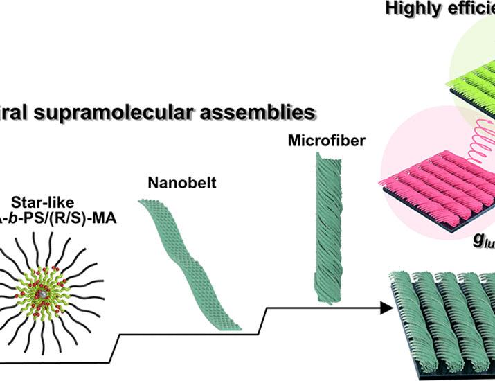 Hierarchical chiral supramolecular assemblies with strong and invertible chiroptical properties | Science