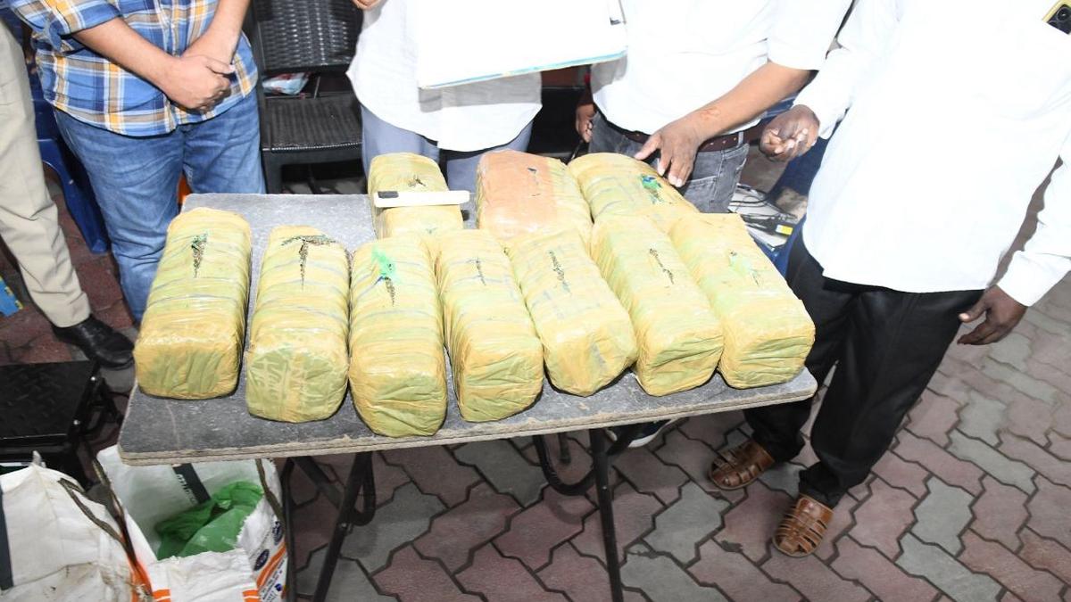 drug-smuggler-crashes-car;-police-uncover-16-kg-marijuana-stashed-in-vehicle