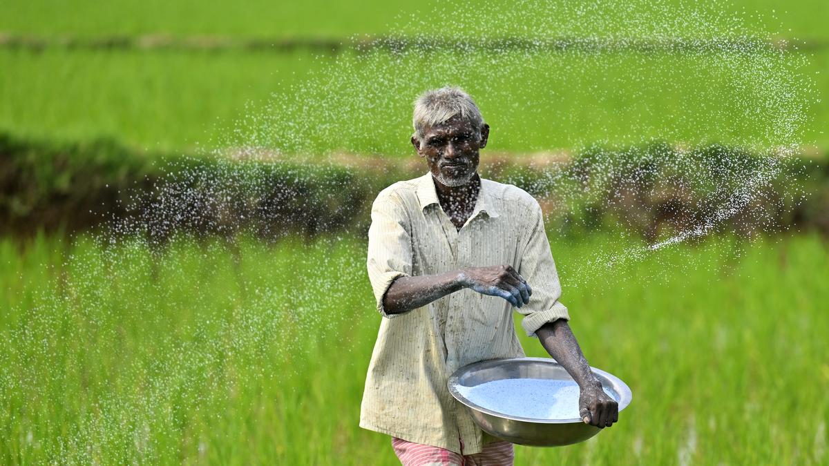 temporary-halt-of-urea-production-at-rfcl:-congress-leaders,-farmers-organisations-flag-concern-over-‘scarcity’-of-fertilizer-in-telangana