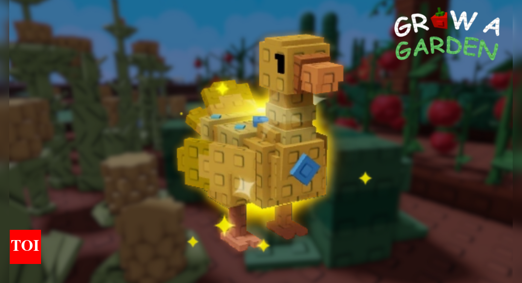 How to get and use Golden Goose in Grow a Garden