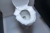 Squatting and Toilet Paper Won’t Protect You from Public Restroom Germs