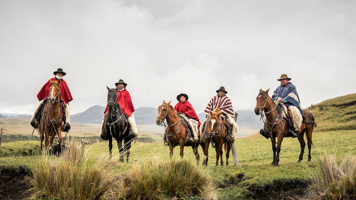 Meet the cowboys of the Andes