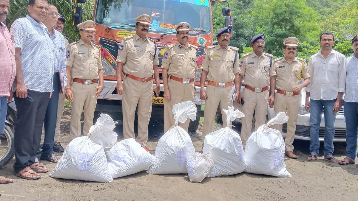 over-100-kg-of-ganja-and-weapons-seized-in-khammam