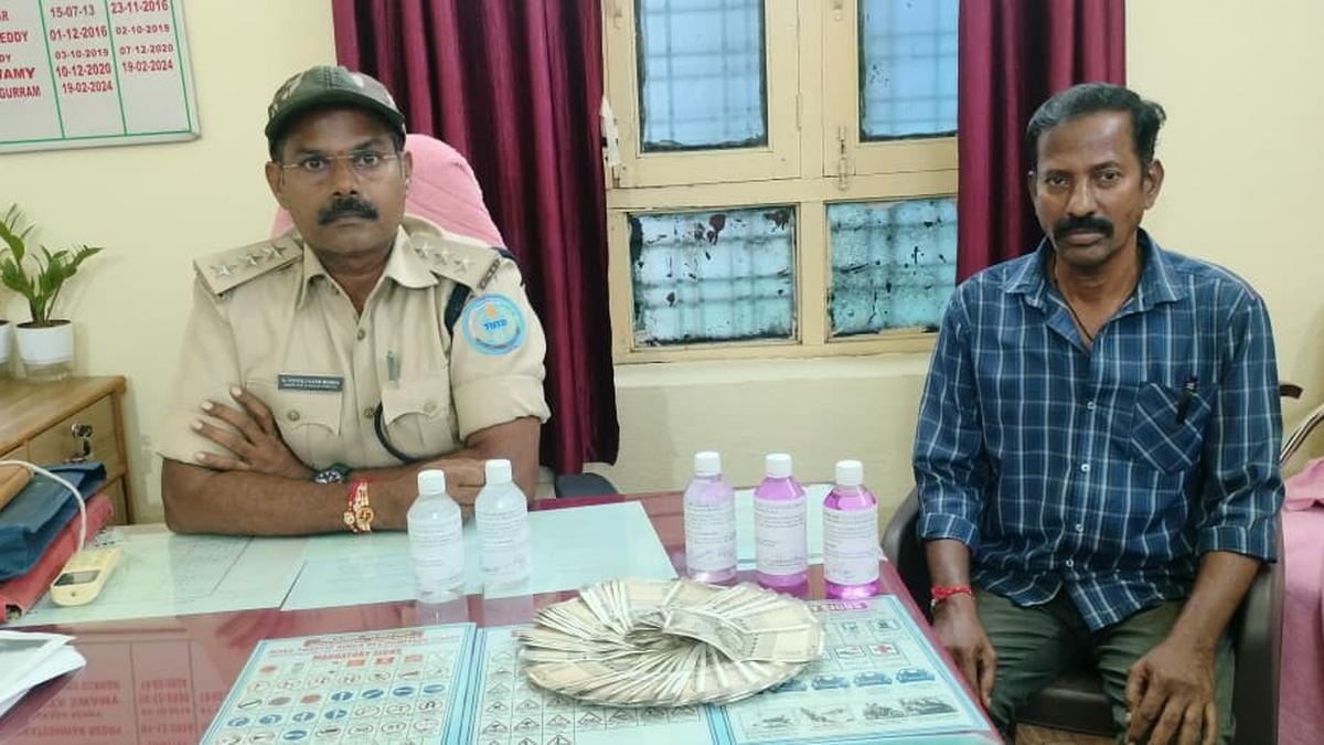armoor-motor-vehicle-inspector,-driver-in-acb-net