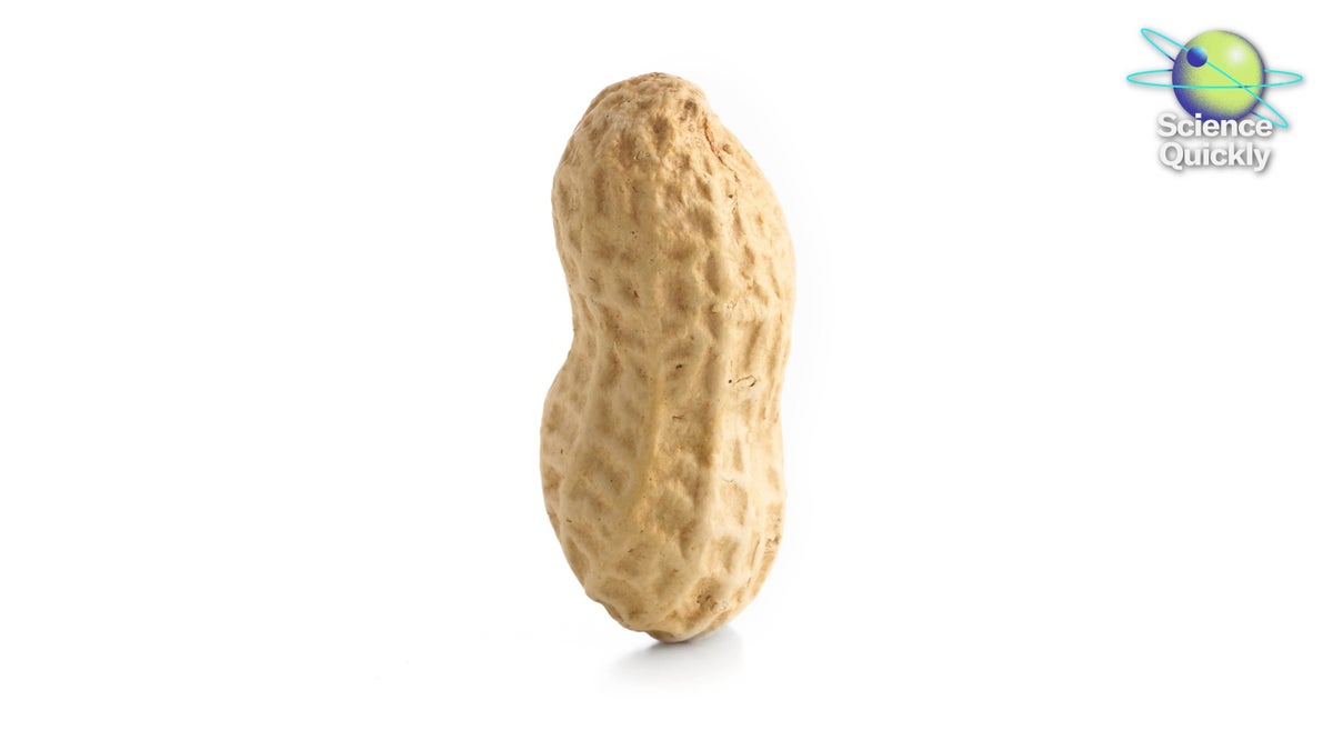 New Treatments for Peanut Allergies Offer Hope—Despite Lingering Questions