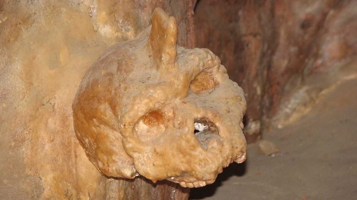 Mysterious 300,000-year-old Greek cave skull was neither human nor Neanderthal, study finds