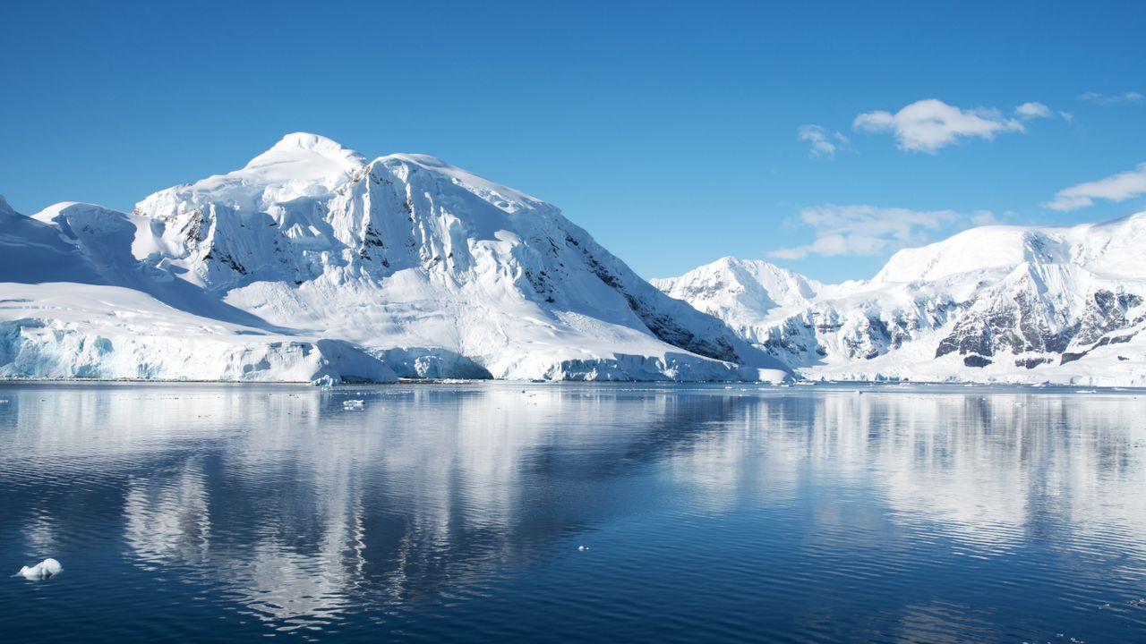 Abrupt changes taking place in Antarctica ‘will affect the world for generations to come’