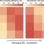 Hydroxyl adsorption identified as key factor in electrocatalytic ammonia production
