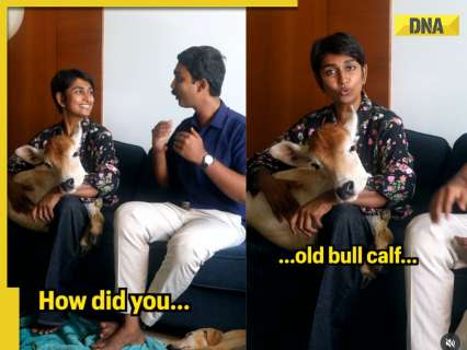 ‘This just proves that…’: Viral video shows bull calf enjoying life on 28th floor of Chennai high-rise
