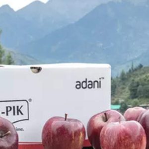 Adani Agri announces apple procurement rate