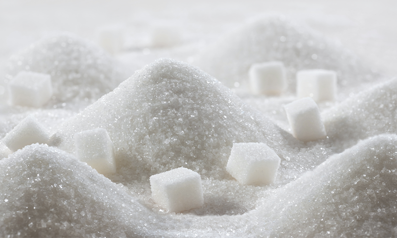Sugar, the Secret Plant Thermostat