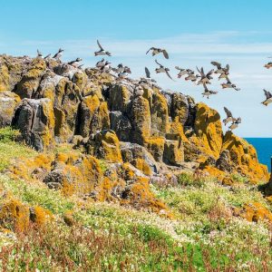 Why coastal Fife is one of Scotland’s best walking adventures