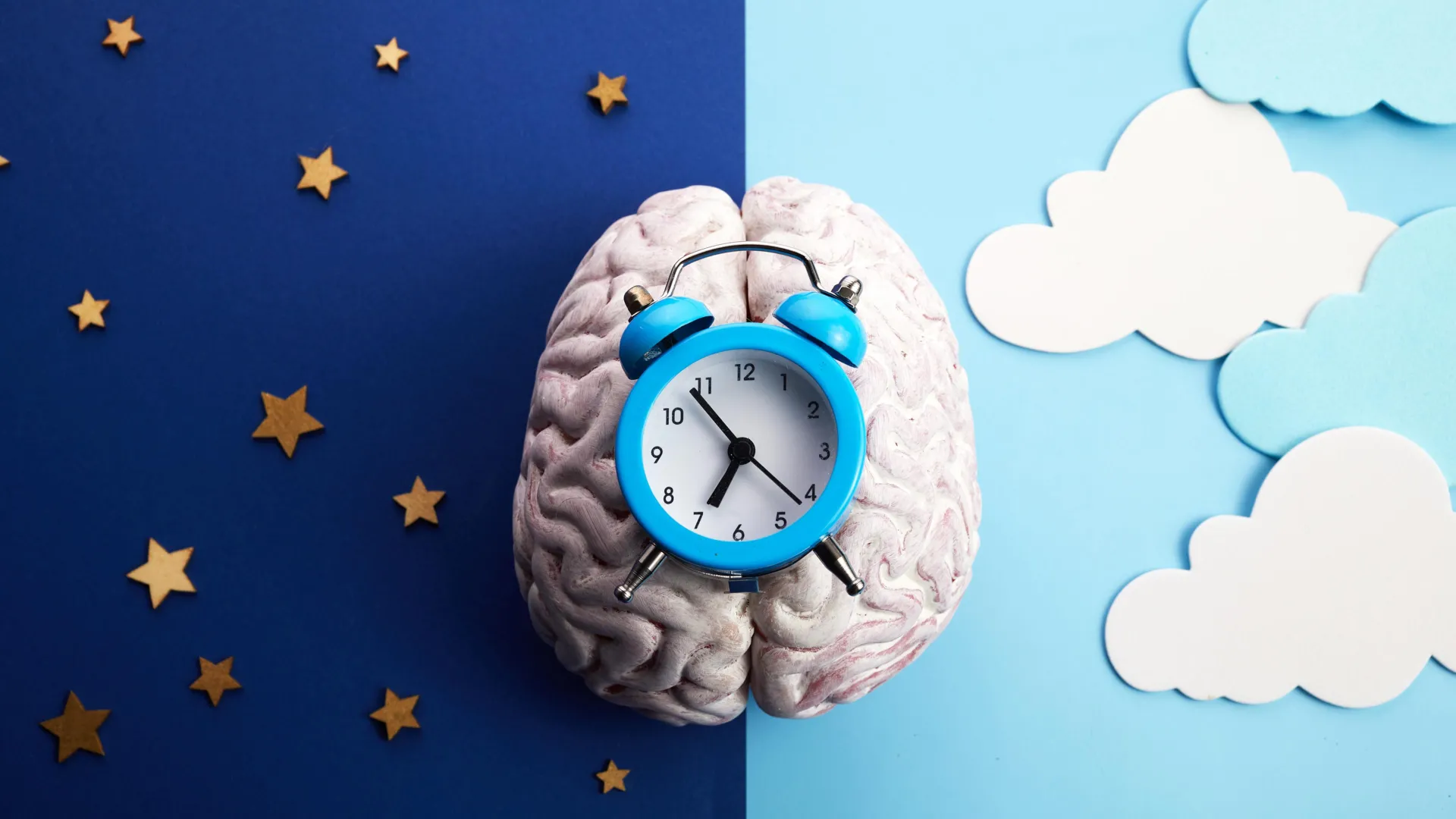 Your brain works overtime at night to burn fat and prevent sugar crashes