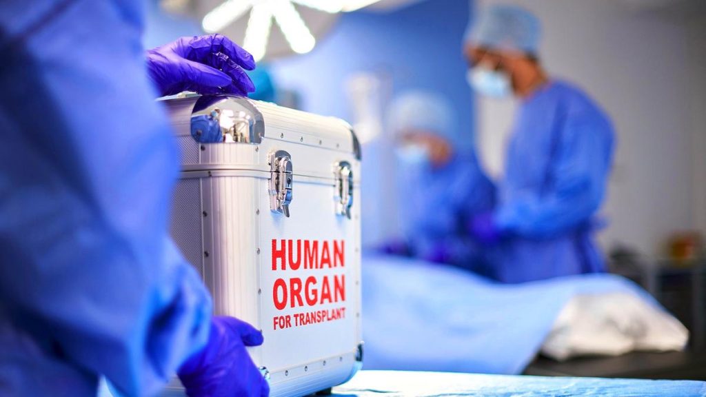 Madras High Court Calls for Licence Revocation of Private Hospital in T.N. Kidney Sale Racket