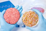 Eating Plant or Animal Protein Makes No Difference When It Comes to Mortality