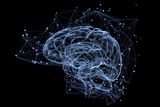 Our Brains Have Unlimited Storage Capacity, But Our Memories Aren’t Always Reliable